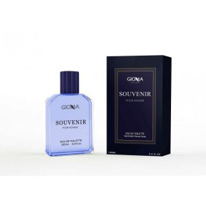 GIOMA SOUVENIR POUR HOMME EAU DE TOILETTE 95 ML EQUIVALENTE DIOR SAUVAGE