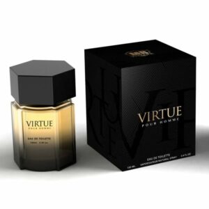 VIRTUE POUR HOMME EAU DE TOILETTE 100 ML EQUIVALENTE LA NUIT DE L'HOMME YSL